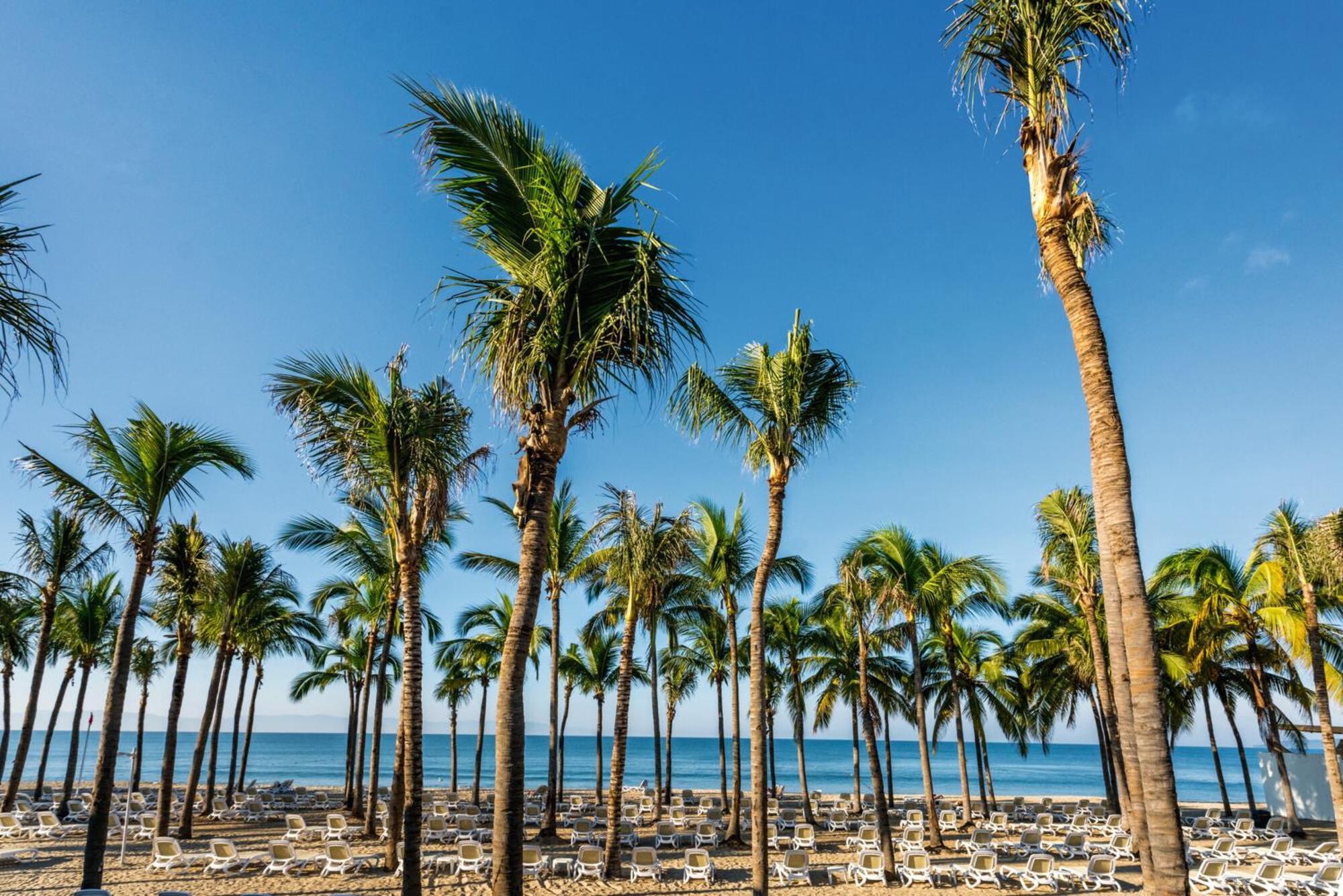 Riu Vallarta Nuevo Vallarta Eksteriør bilde